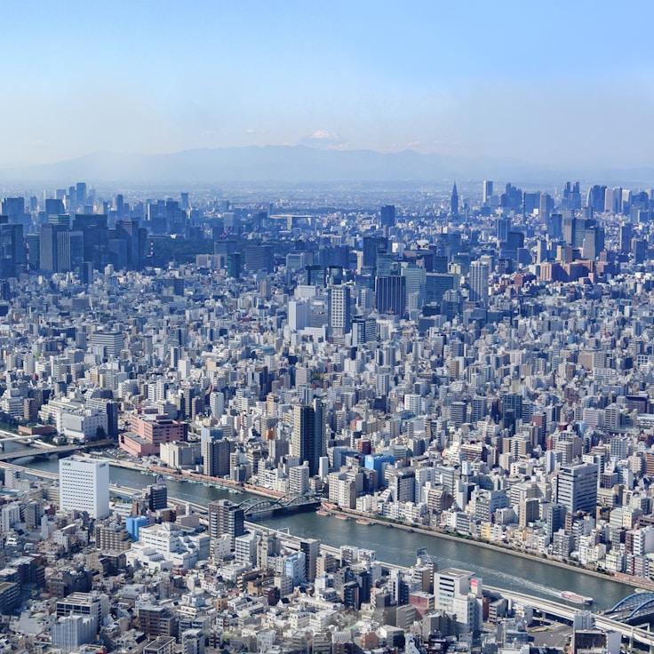 Family routine and school logistics in Amsterdam